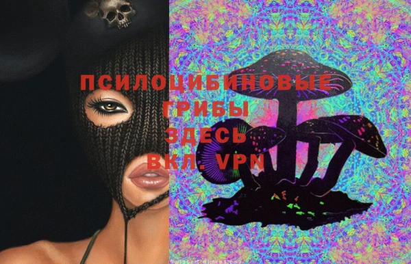 СК Верея